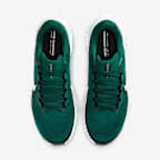 Philadelphia Eagles Pegasus 41 Men's Nike NFL Road Running Shoes