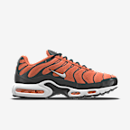 Nike Air Max Plus By You Custom Shoes