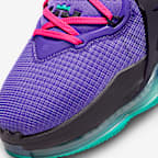 Scarpa da basket LeBron 19