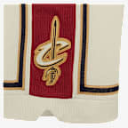 LeBron Nike Men's Nike Dri-FIT NBA Shorts