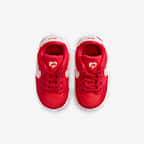 Nike Dunk Low Baby/Toddler Shoes