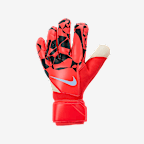 Bright Crimson/Czerń/Royal Tint