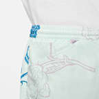 Nike SB Skate Water Shorts
