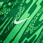 Netherlands (Women's Team) 2024/25 Stadium Goalkeeper Nike Replika-Fußballtrikot mit Dri-FIT-Technologie (Damen)