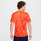 England (Women's Team) 2024/25 Stadium Goalkeeper Men's Nike Dri-FIT Football Replica Short-Sleeve Shirt