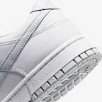 Nike Dunk Low Retro Men's Shoes