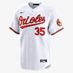 Adley Rutschman Baltimore Orioles Men's Nike Dri-FIT ADV MLB Limited Jersey - White