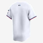 Miami Marlins Men's Nike Dri-FIT ADV MLB Limited Jersey