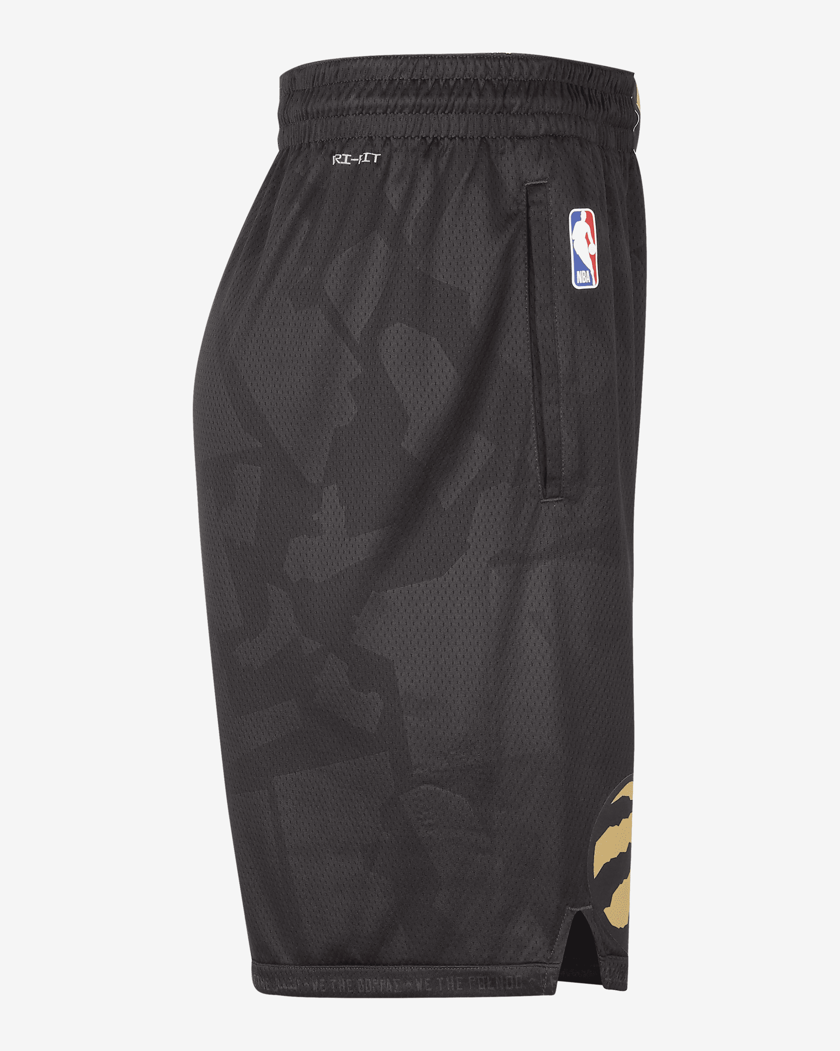 Toronto Raptors City Edition Men's Nike Dri-FIT NBA Swingman Shorts ...