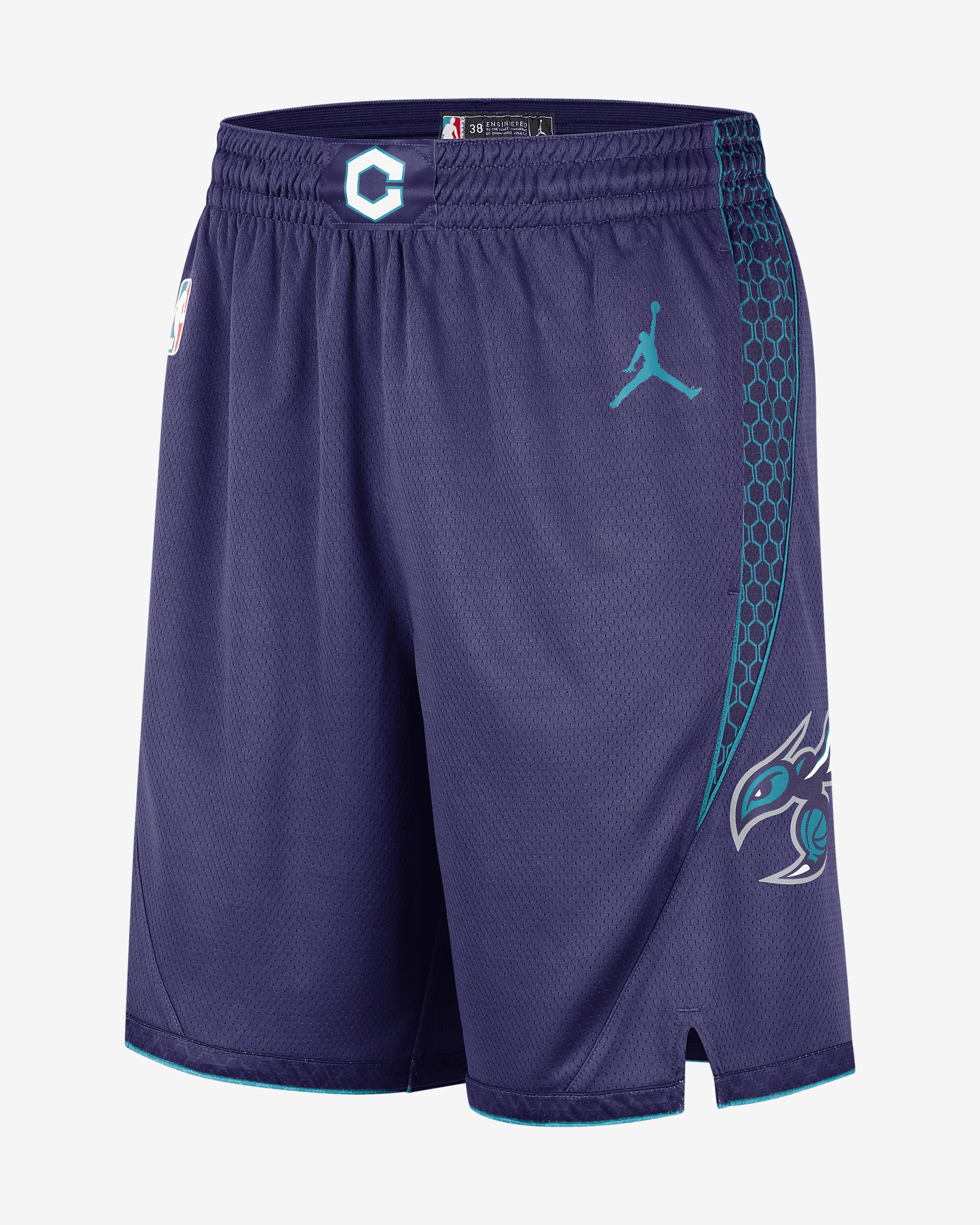 Charlotte Hornets Statement Edition Men's Jordan Dri-FIT NBA Swingman ...