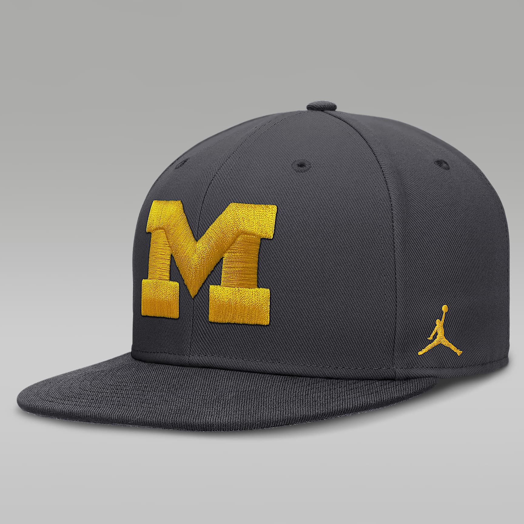 Michigan Pro Men's Jordan Brand Dri-FIT College Fitted Hat
