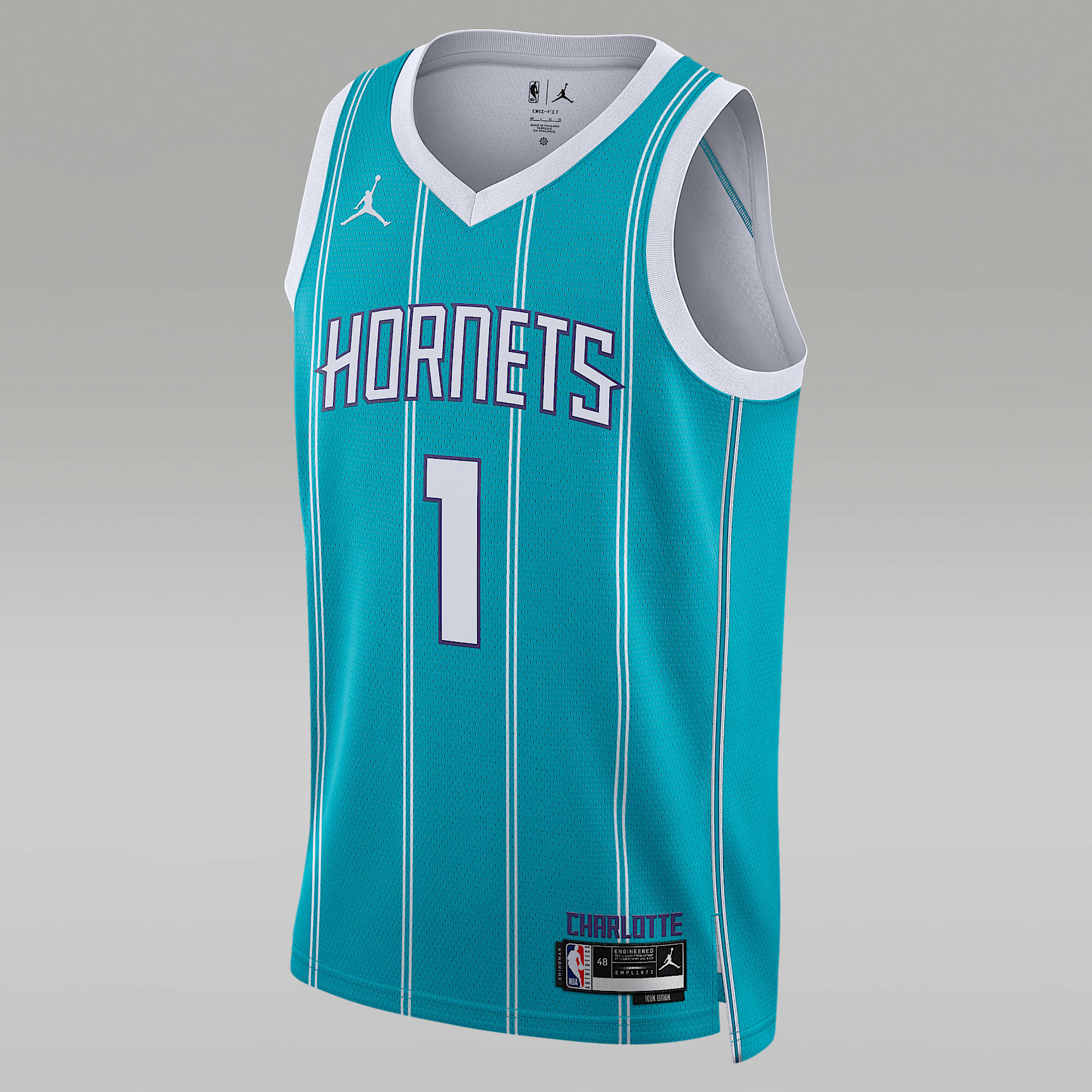 Charlotte Hornets Icon Edition Men's Jordan Dri-FIT NBA Swingman Jersey
