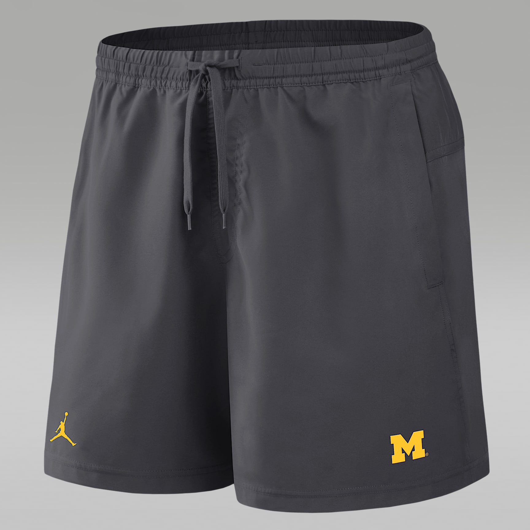 Michigan Primetime Primary Logo Men's Jordan Brand Dri-FIT College Form Shorts