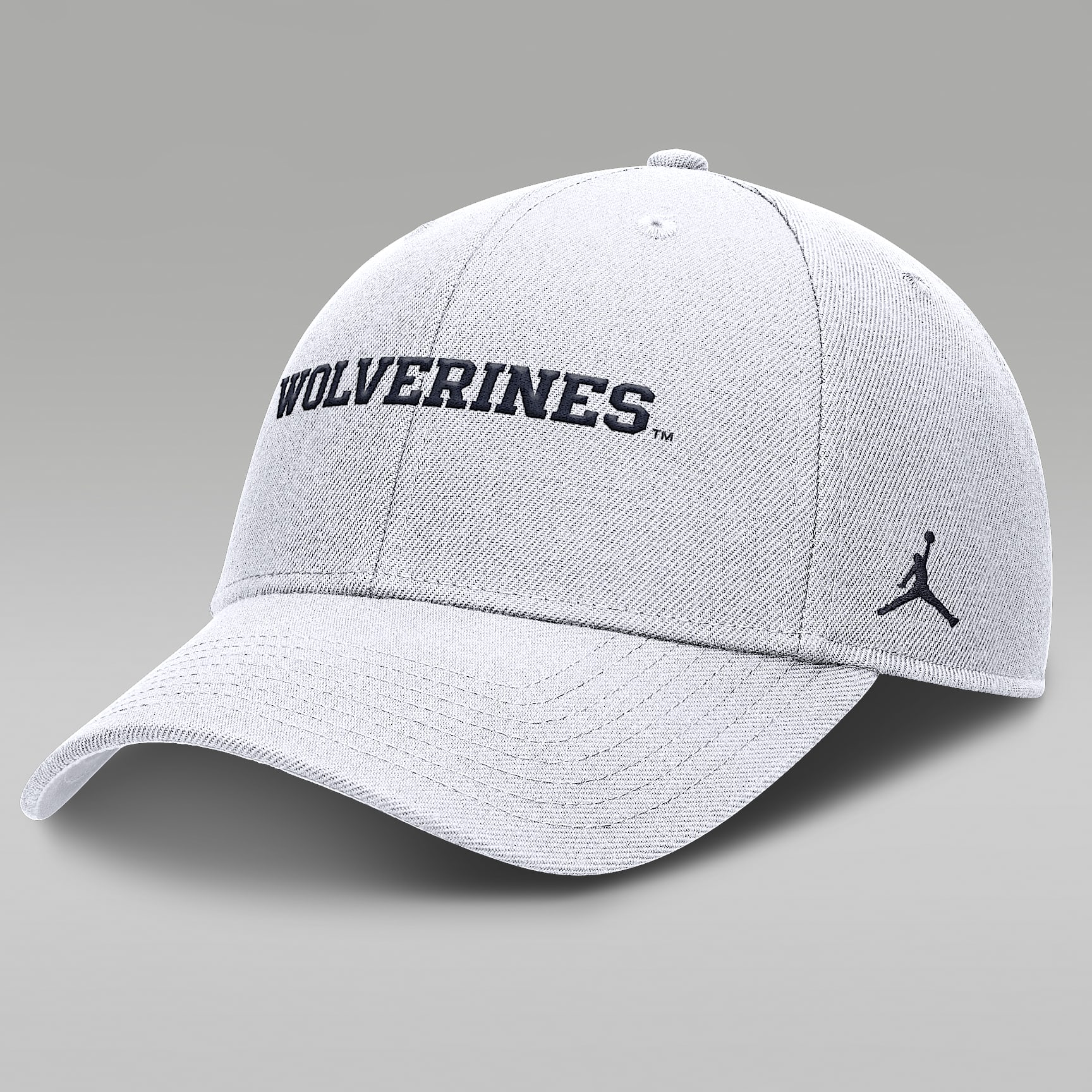 Michigan On-Field Rise Gameday Men's Jordan Brand Dri-FIT College Trucker Adjustable Hat
