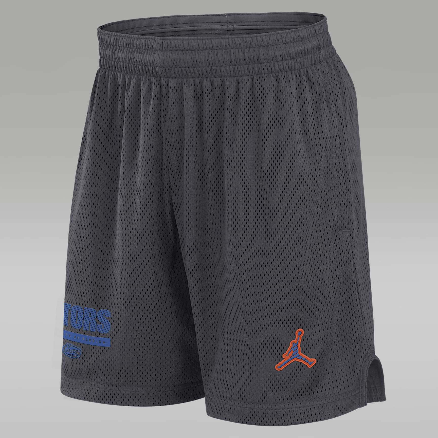 Florida Sideline Men's Jordan Brand Dri-FIT College Shorts
