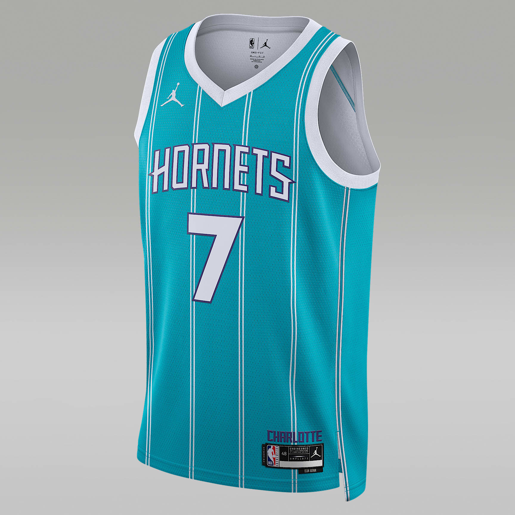 Charlotte Hornets Icon Edition Men's Jordan Dri-FIT NBA Swingman Jersey