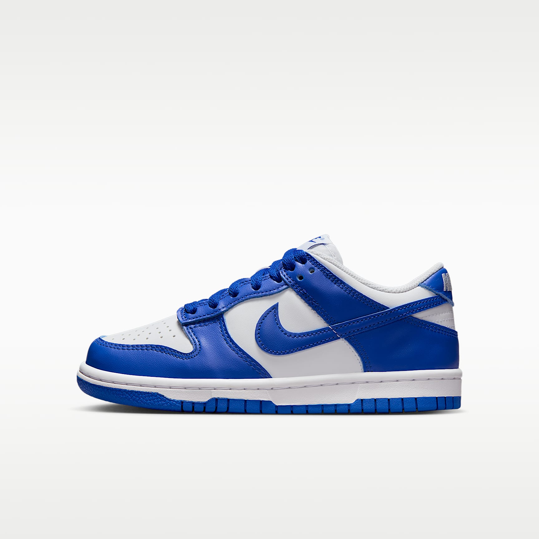 Nike Dunk Low Older Kids' Shoes