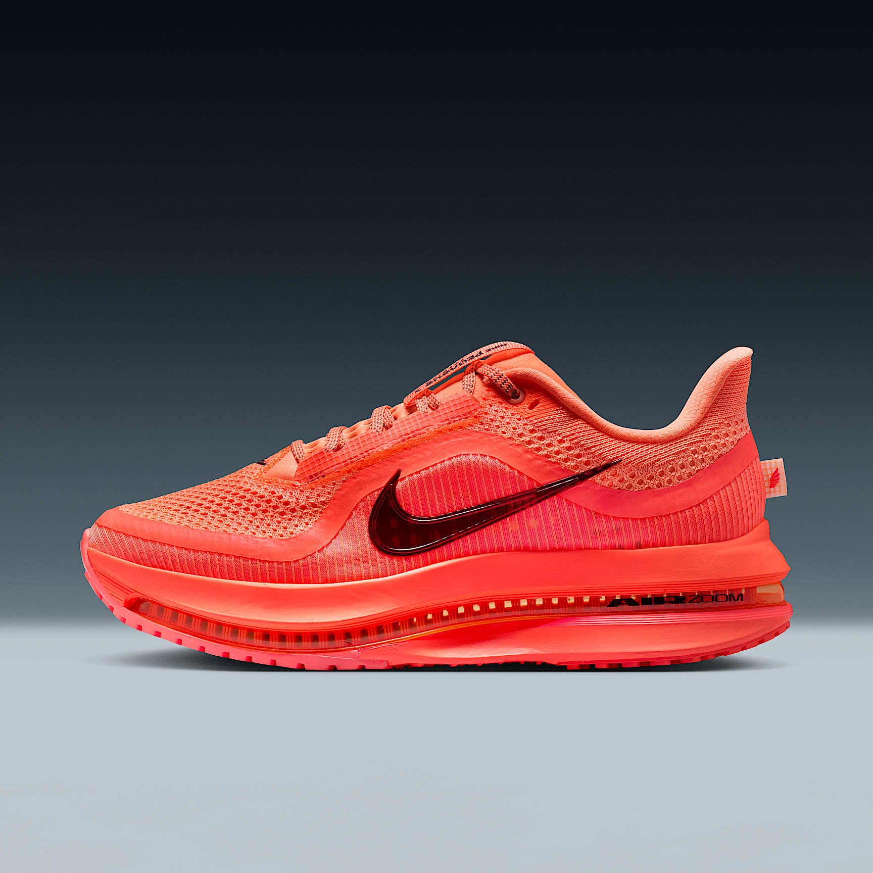 ひ*り様 Nike Zoom Pegasus Premium 27.5 公式正規 Nike Pegasus 