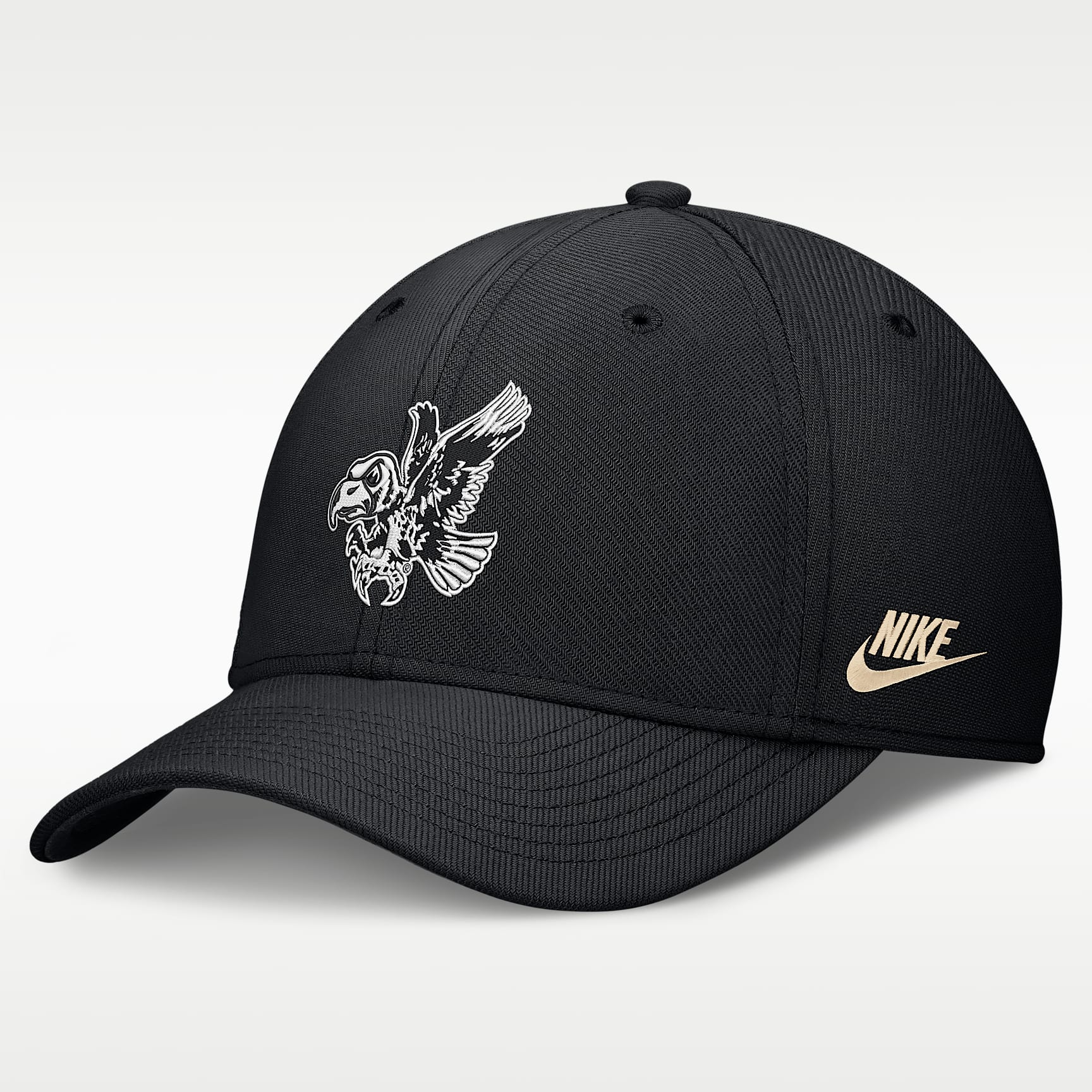 Iowa Legacy Rise Vintage Men's Nike Dri-FIT College Hat