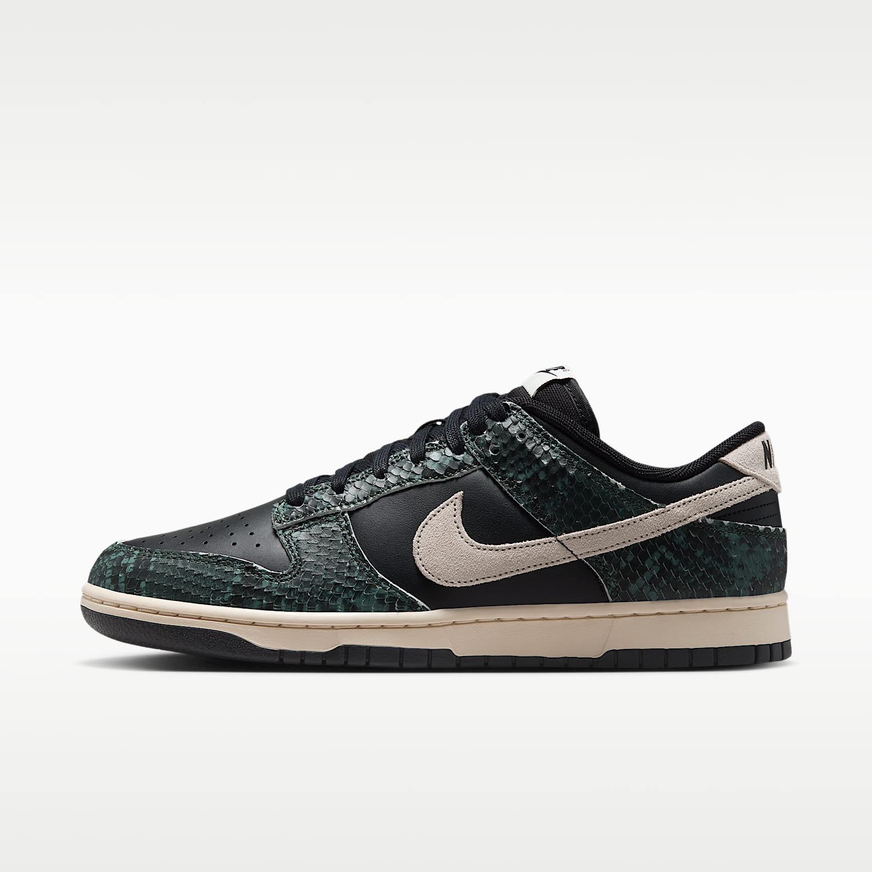 Nike Dunk Low Retro Men's Shoes