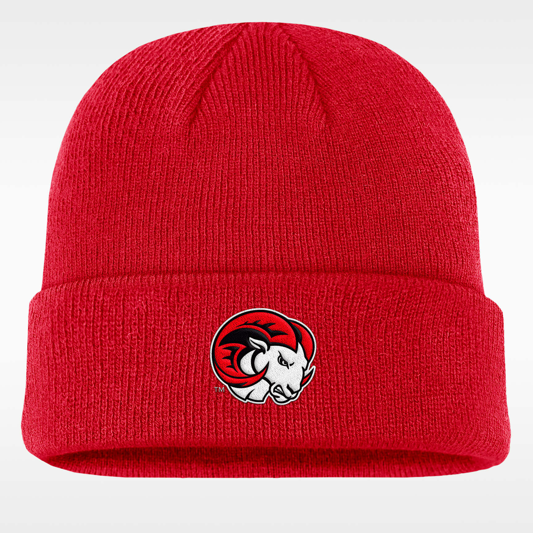 Nike College Terra (Winston-Salem State University) Beanie