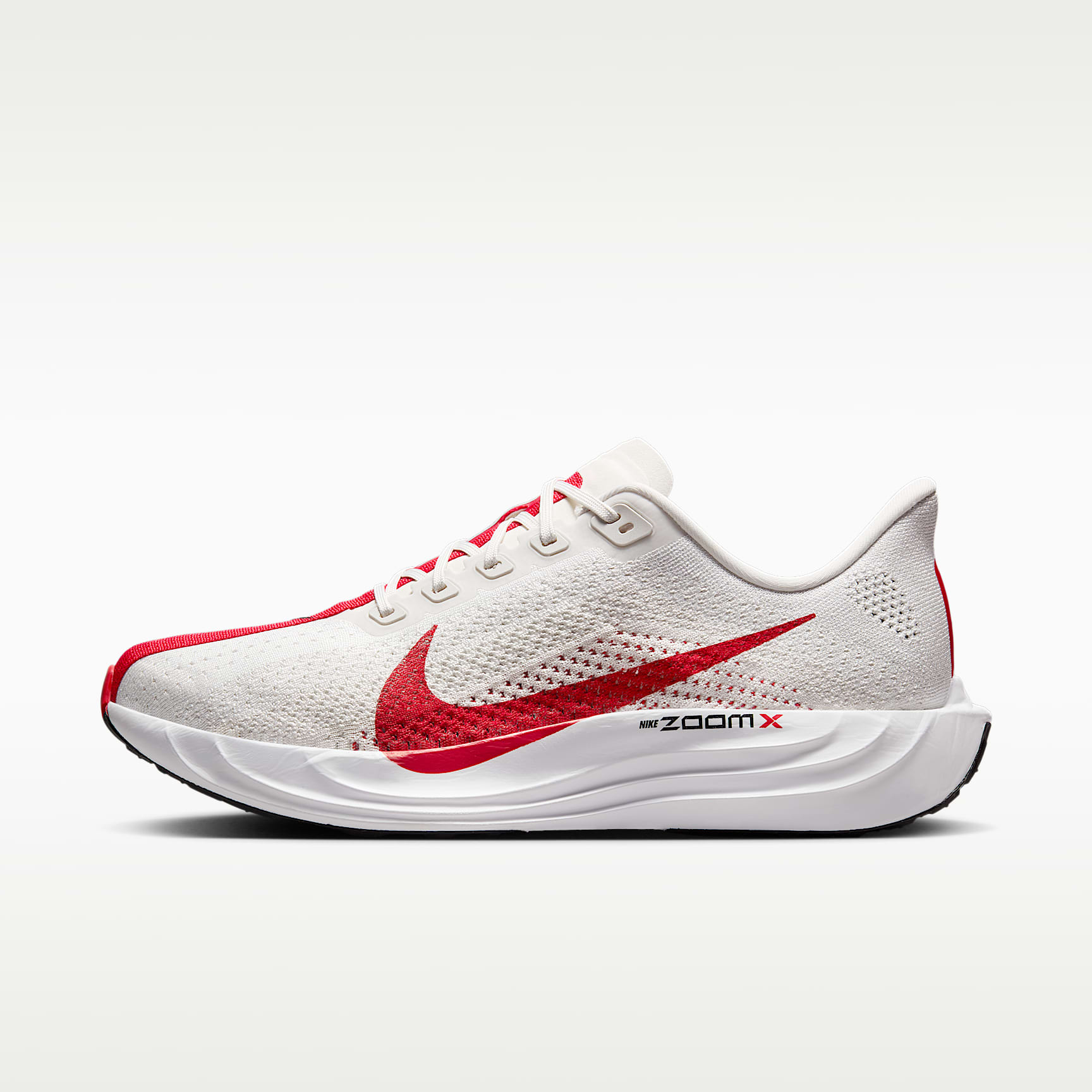 Nike Pegasus Plus Men's Road Running Shoes