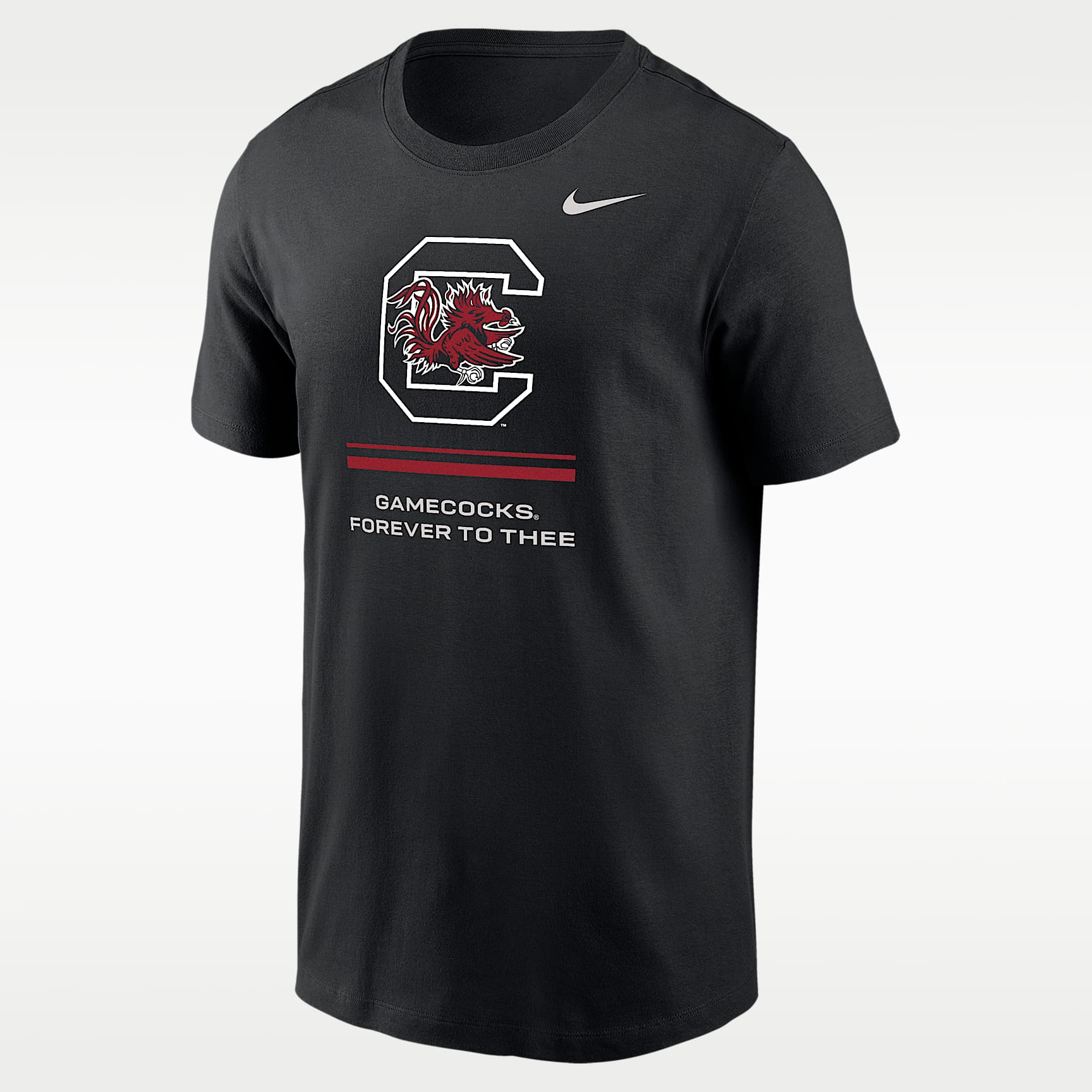 South Carolina Practice Men's Nike Dri-FIT College T-Shirt