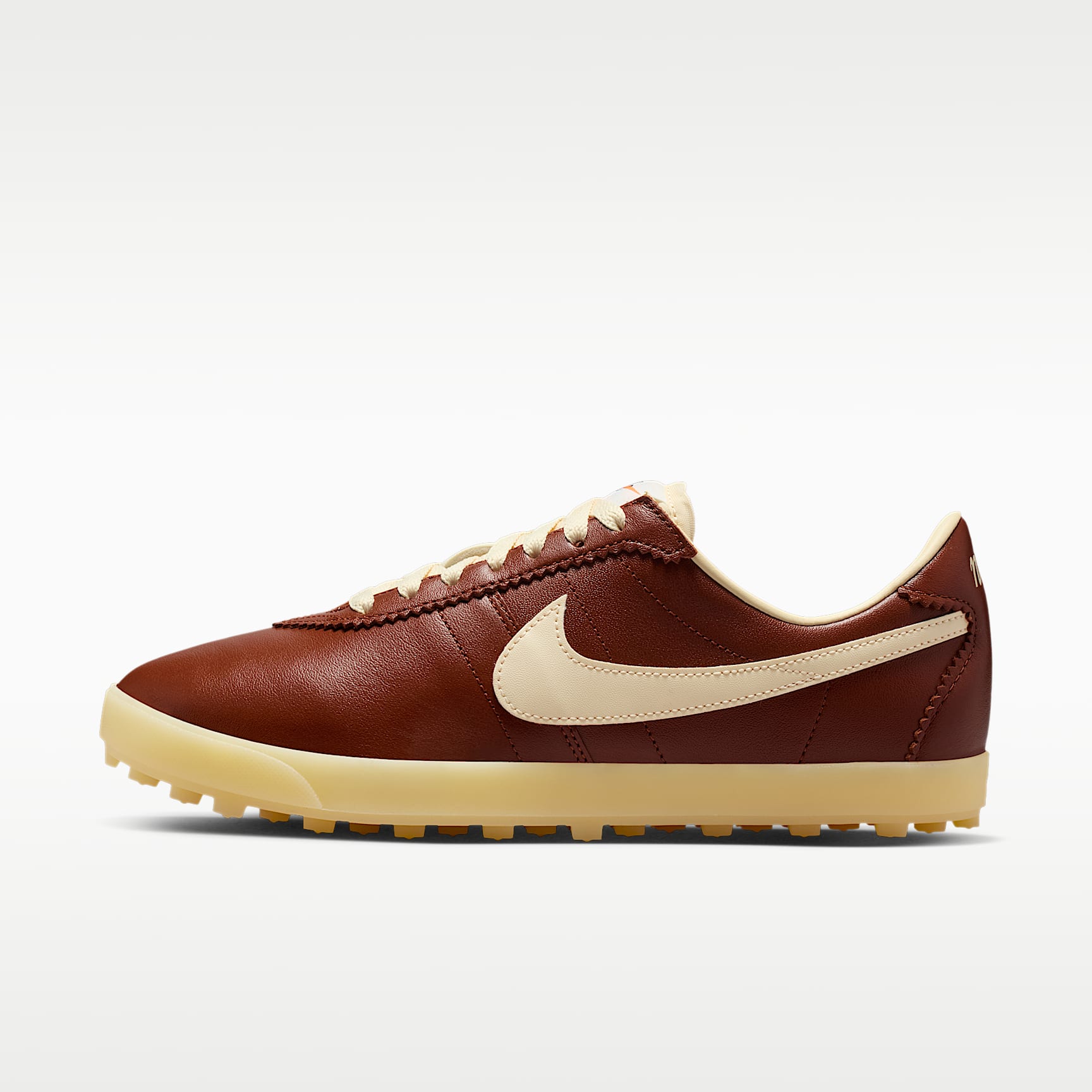 Nike Astrograbber Leather Women's Shoes