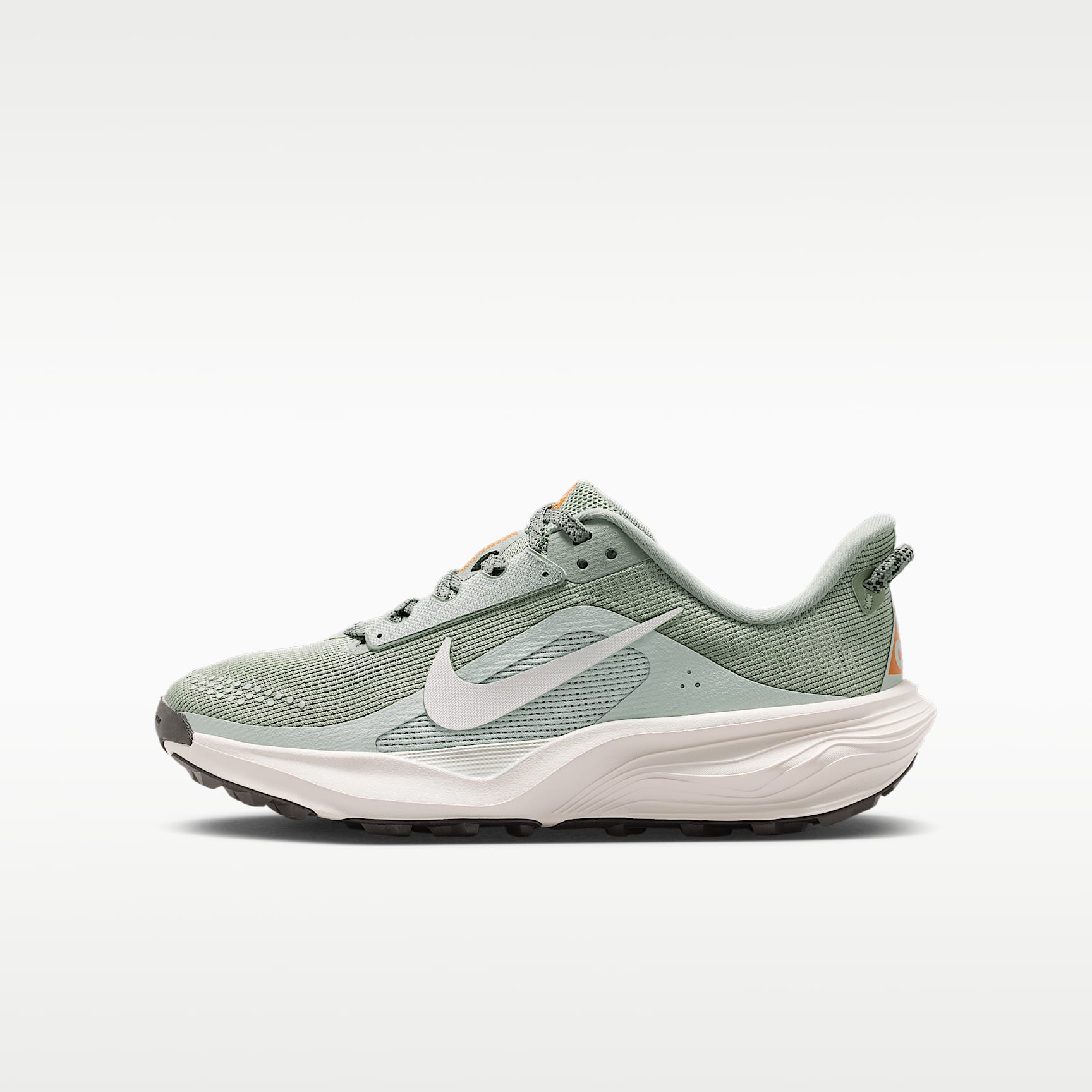 Nike ACG Pegasus Trail Big Kids' Running Shoes