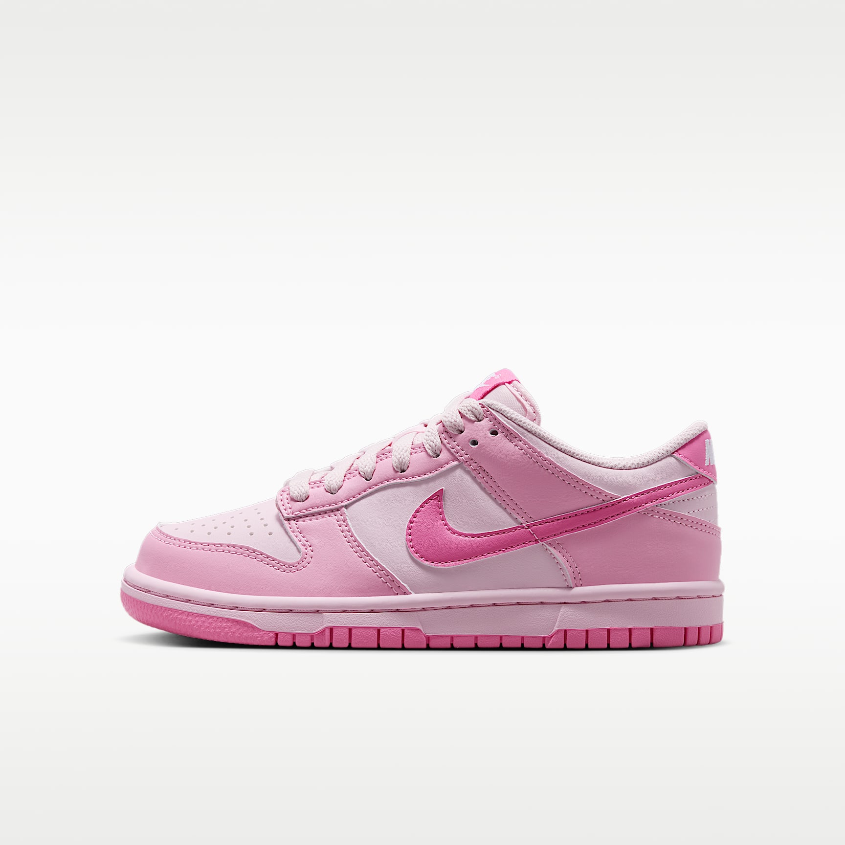 Nike Dunk Low Big Kids' Shoes