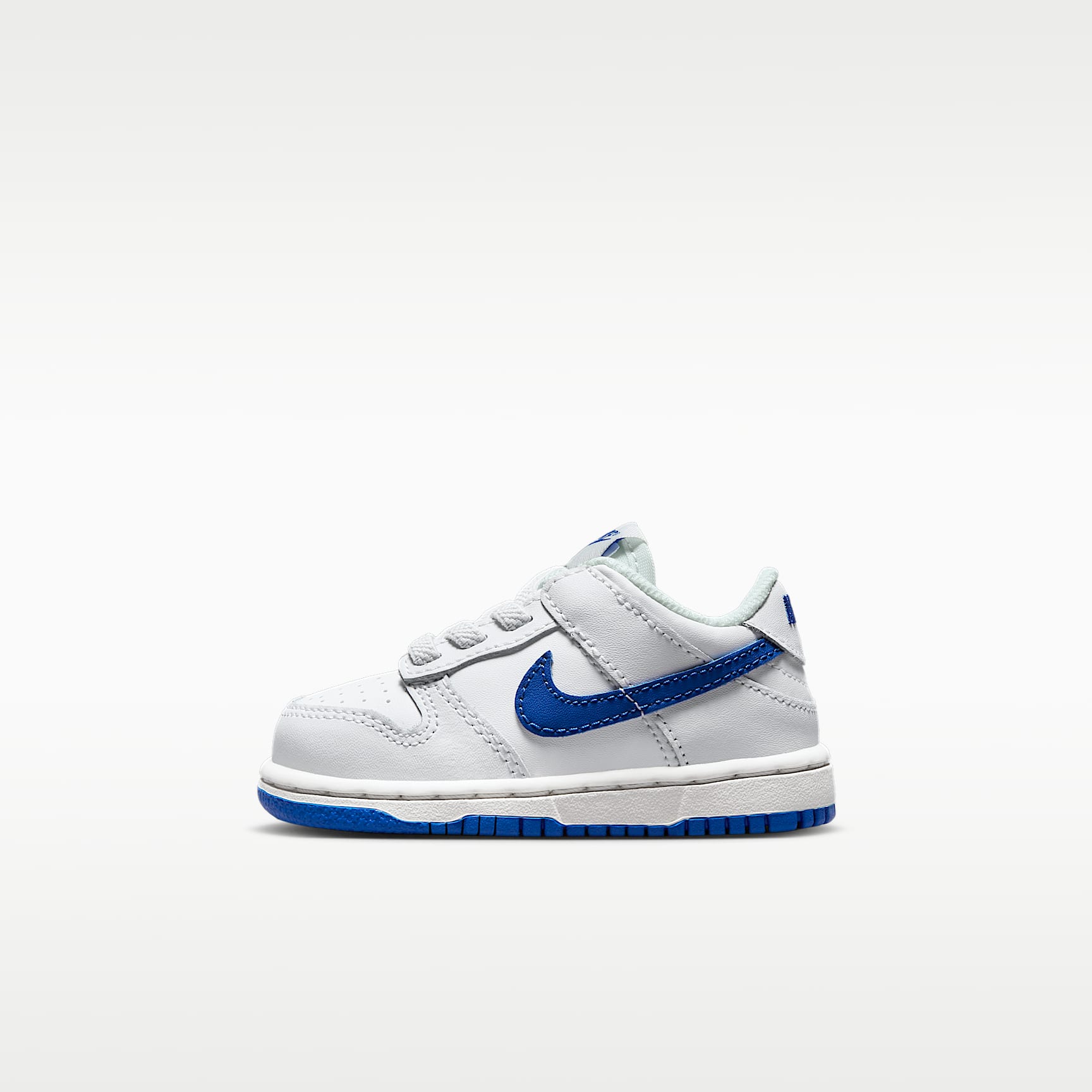 Nike Dunk Low Baby/Toddler Shoes
