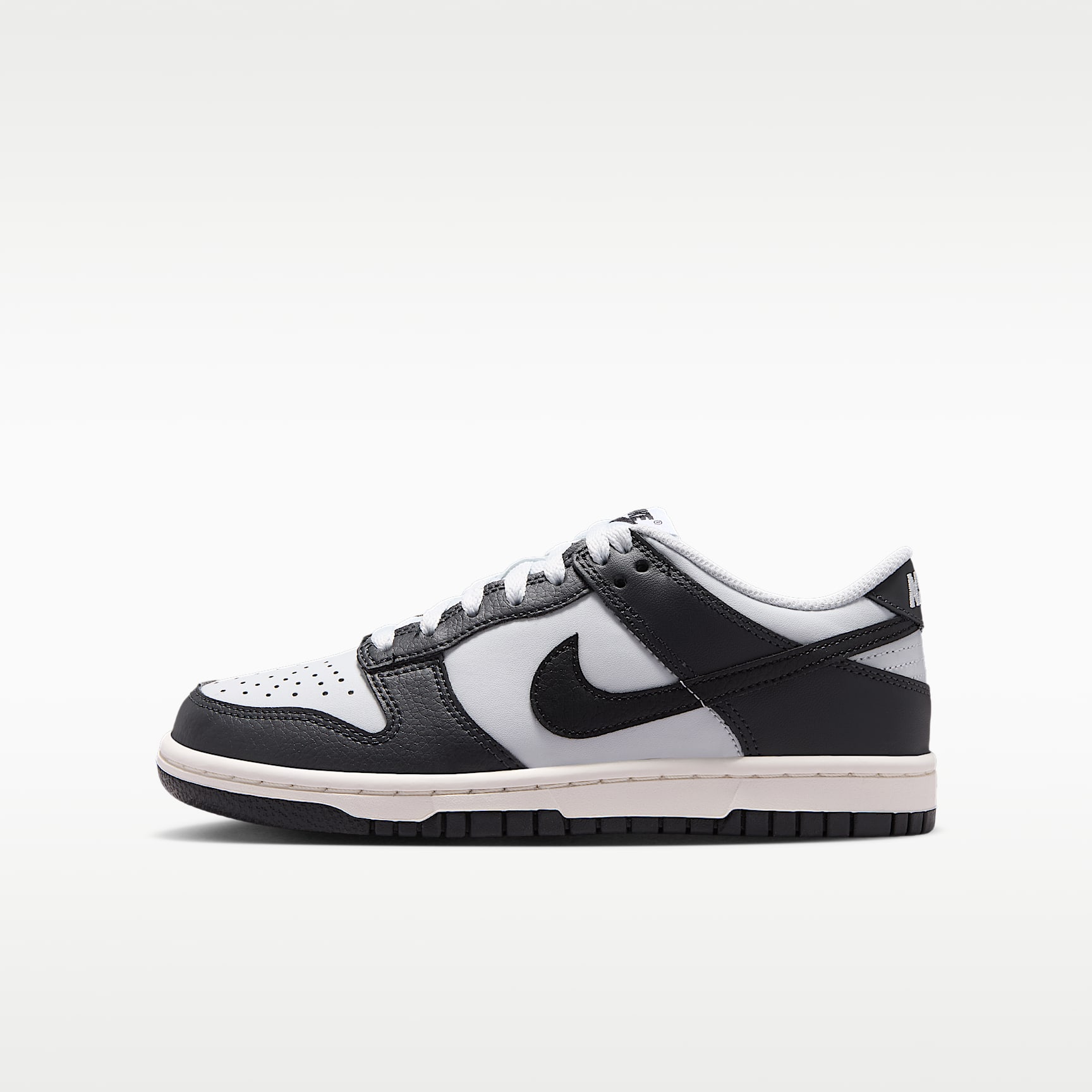 Nike Dunk Low Big Kids' Shoes