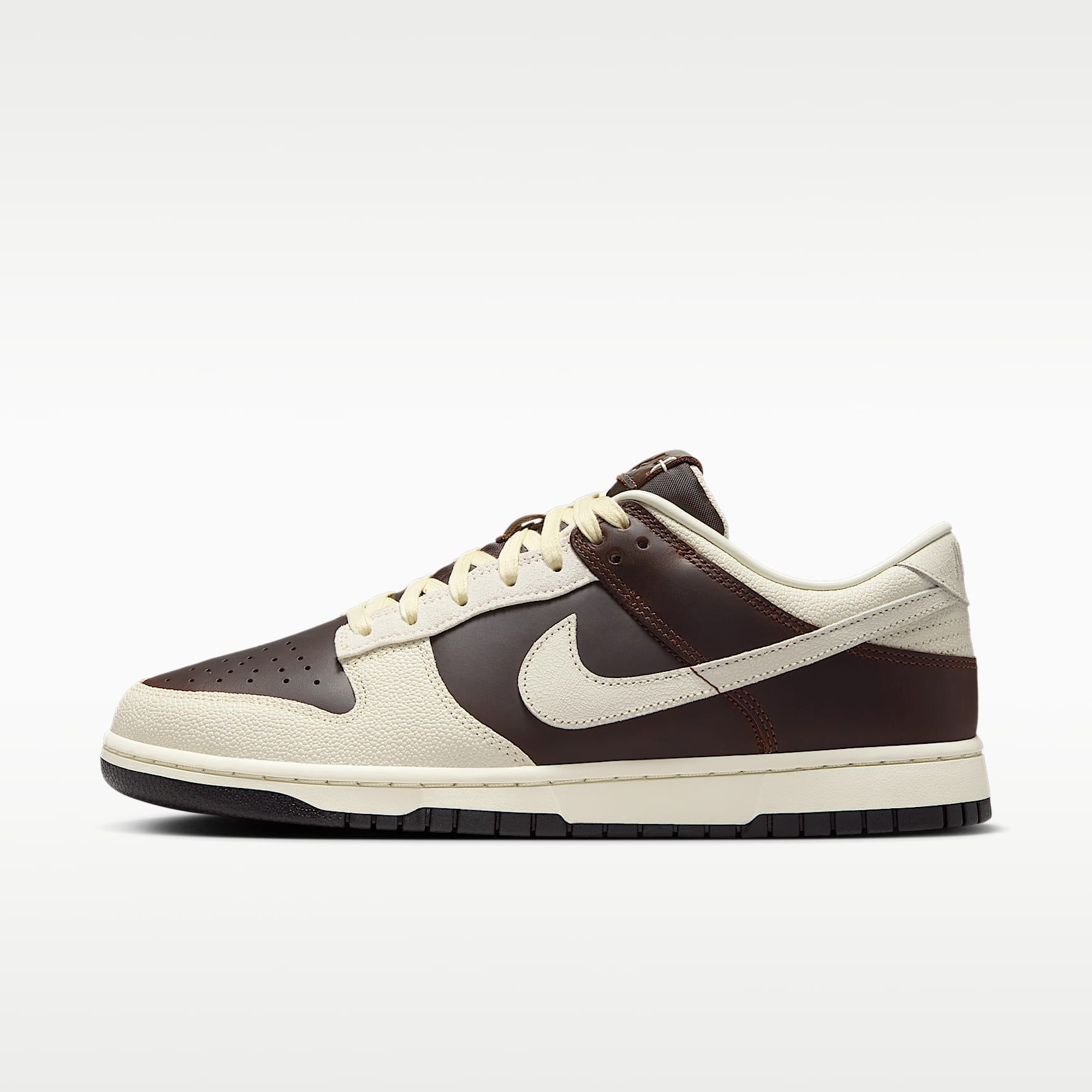Nike Dunk Low Retro Men's Shoes