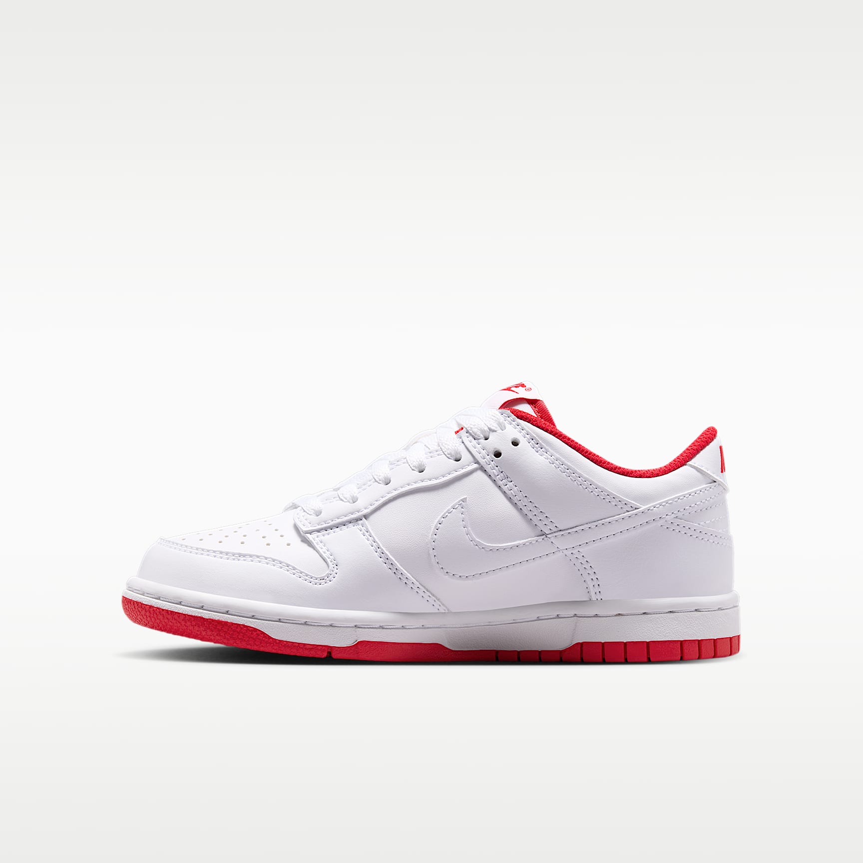 Nike Dunk Low Big Kids' Shoes