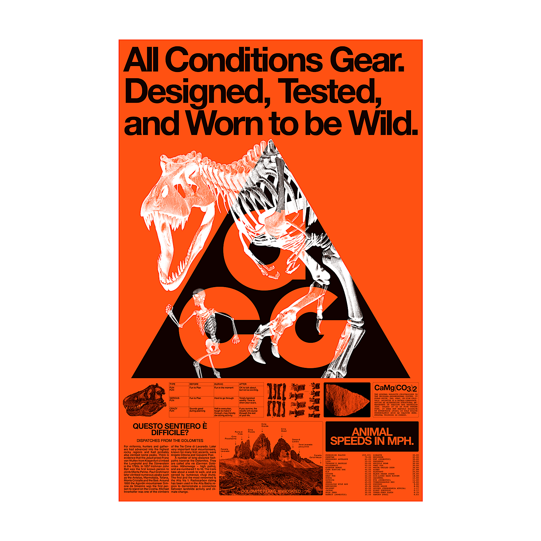 Nike ACG “Fossil” Poster 22" x 34"