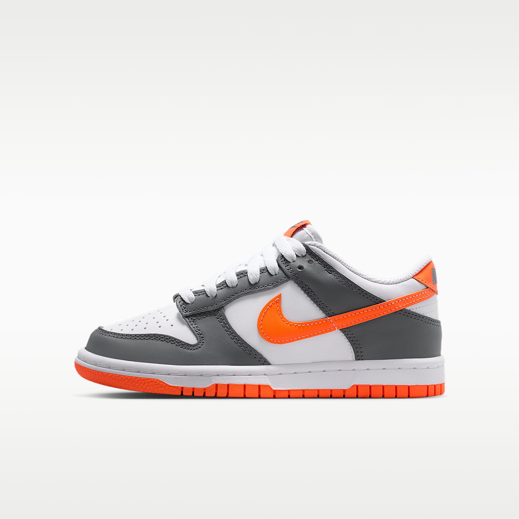 Nike Dunk Low Big Kids' Shoes