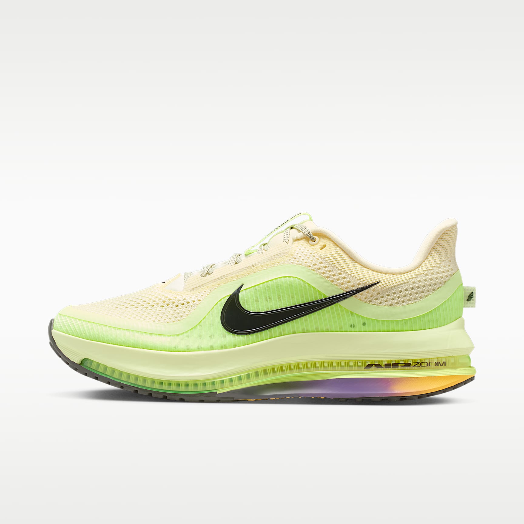 Scarpa da running su strada Nike Pegasus Premium – Uomo