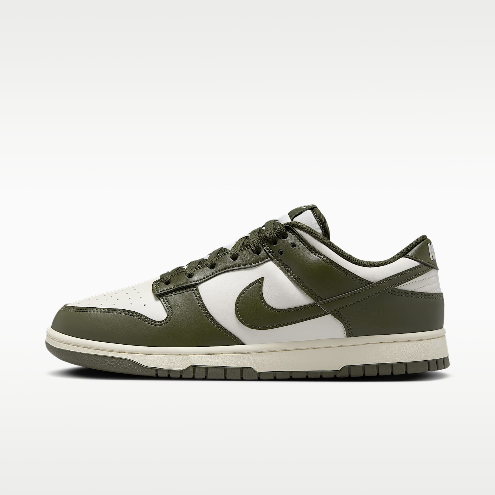 Nike Dunk Low Retro Men's Shoes