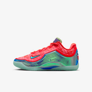 NIKE ナイキ レブロン22 \
