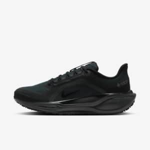 Nike Pegasus 41 GORE-TEX wasserdichter Straßenlaufschuh (Herren)
