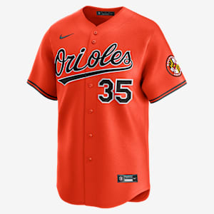 Adley Rutschman Baltimore Orioles Men's Nike Dri-FIT ADV MLB Limited Jersey