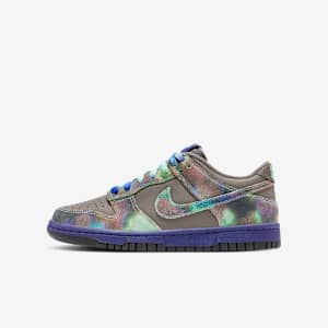 Nike Dunk Low SE Older Kids' Shoes