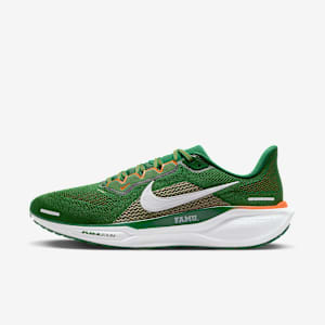 FAMU Pegasus 41 Men's Nike College Road Running Shoes