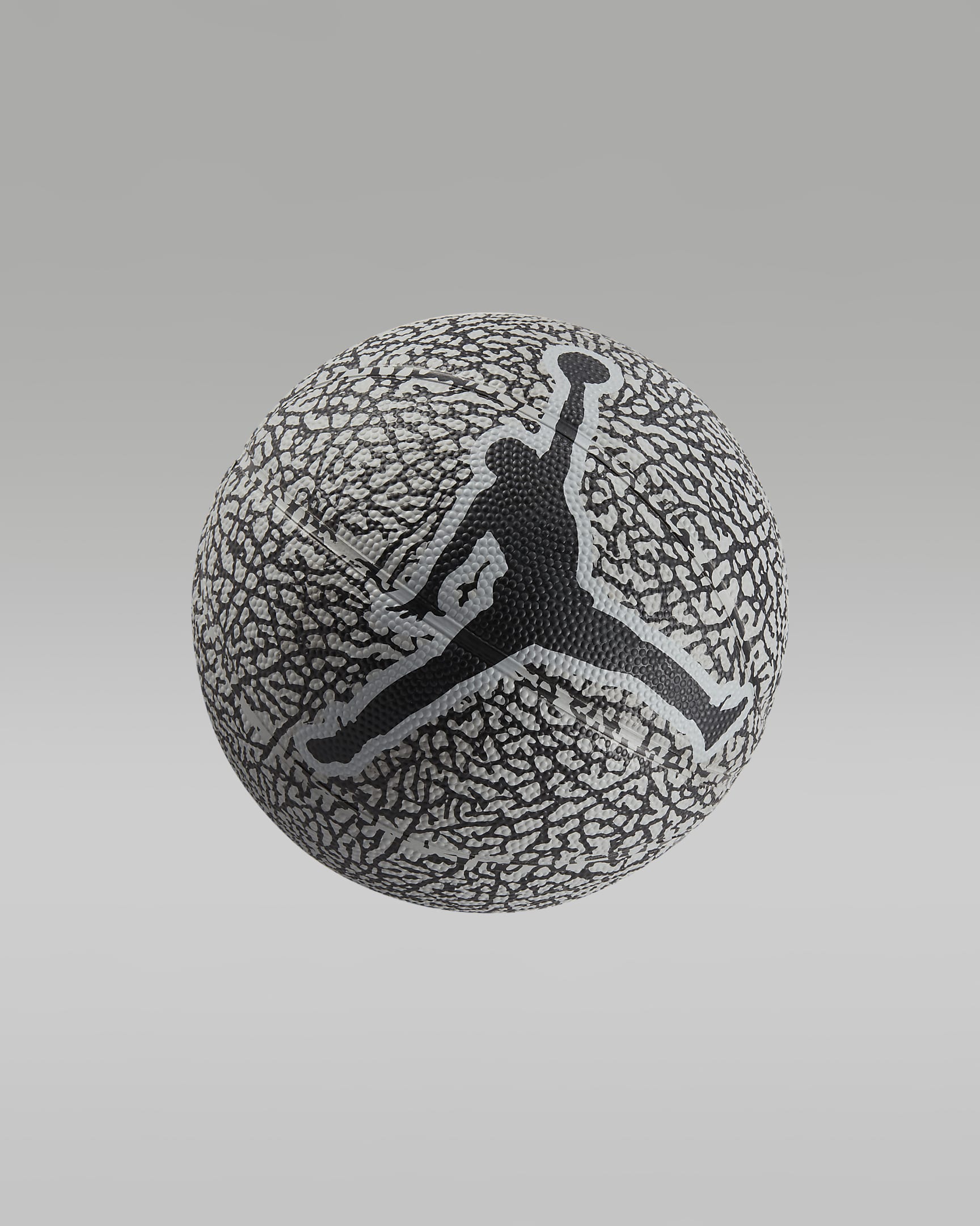 ballon basket jordan