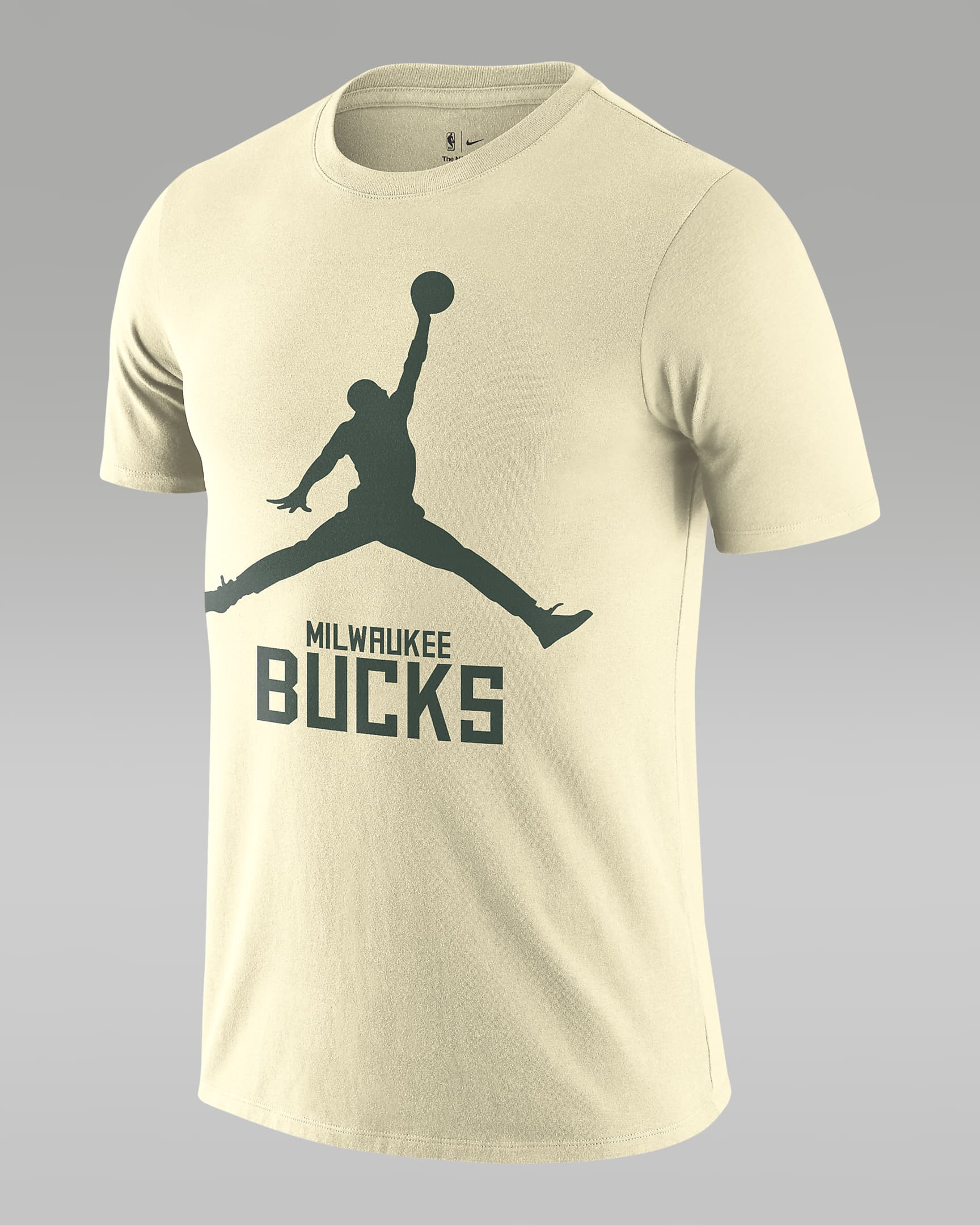 Milwaukee Bucks Essential Men's Jordan NBA T-Shirt - Flat Opal