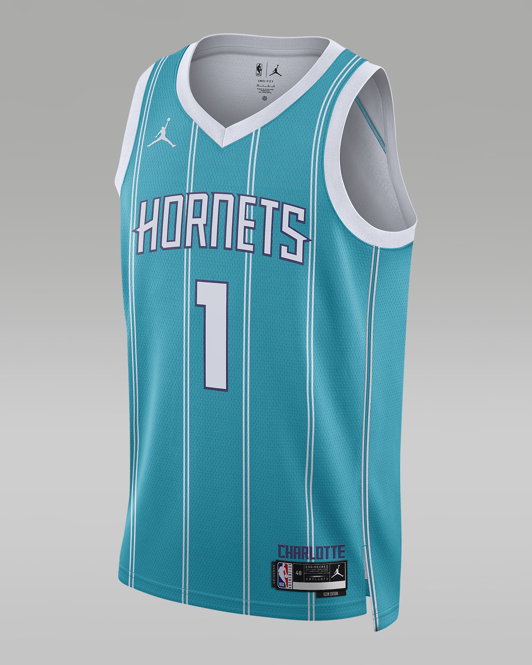 Charlotte Hornets Icon Edition 2022/23 Camiseta Jordan Dri-FIT NBA Swingman - Hombre - Rapid Teal