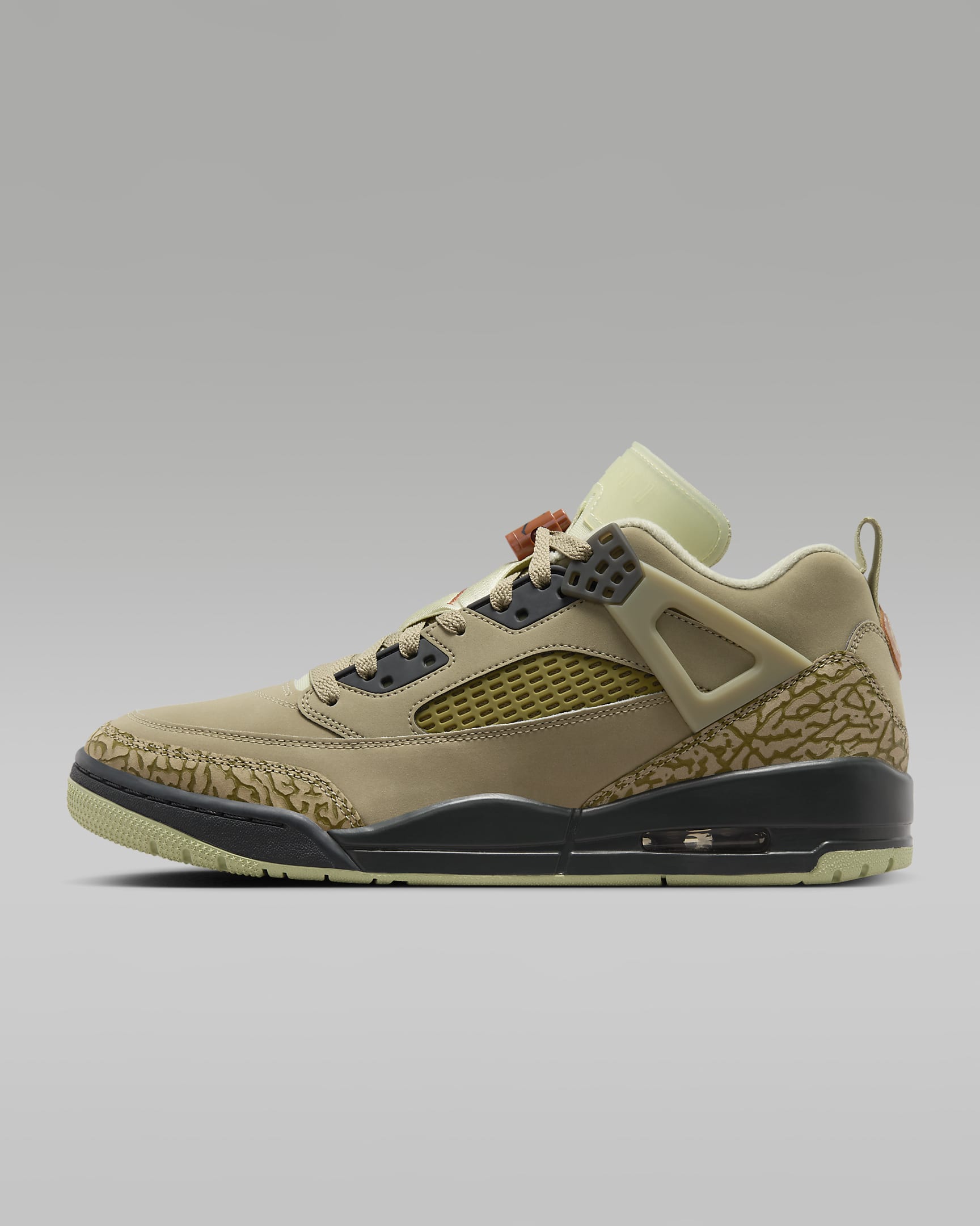 Chaussure Jordan Spizike Low pour homme - Neutral Olive/Olive Aura/Dark Smoke Grey/Dark Russet