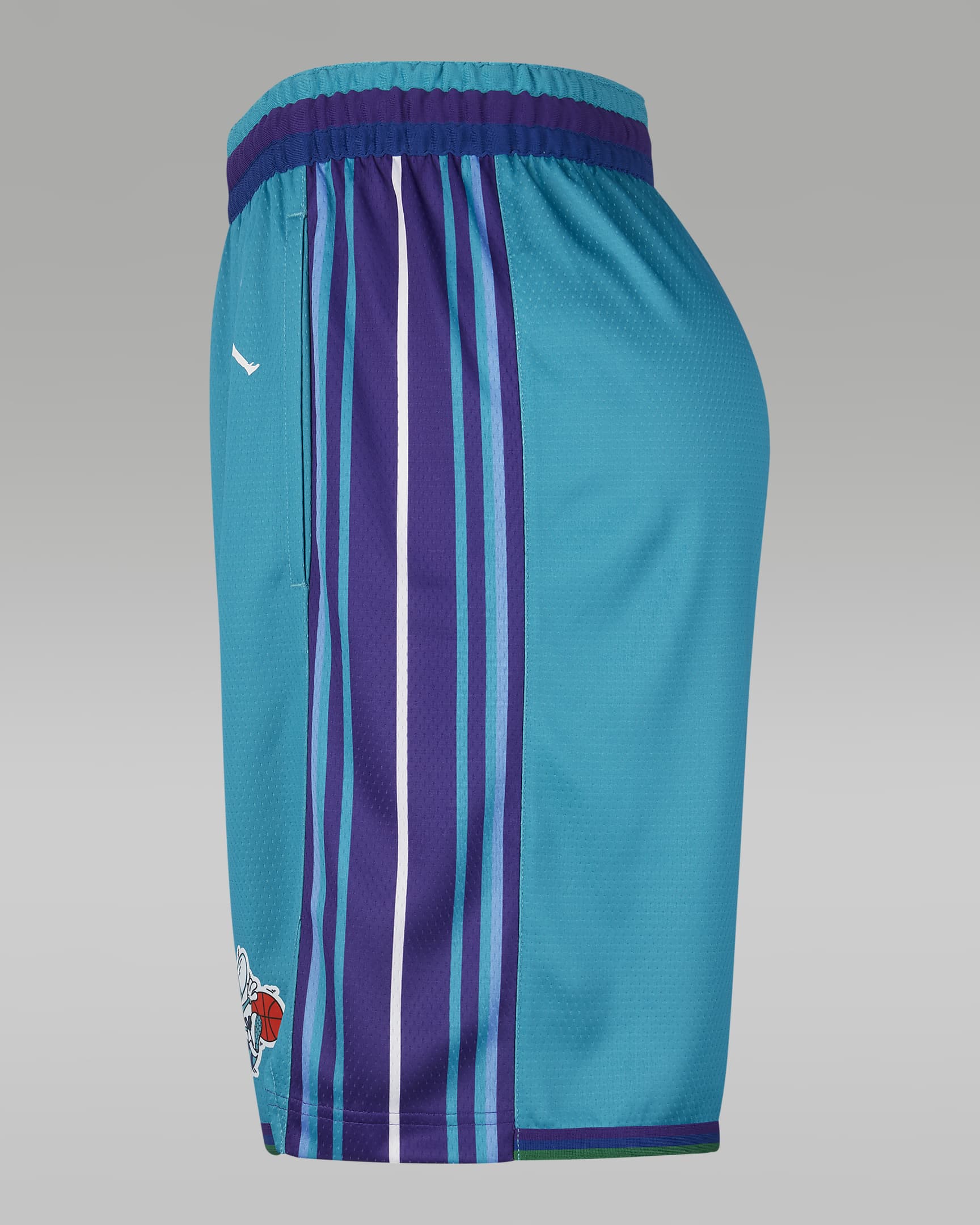 Shorts Charlotte Hornets Hardwood Classics 2023/24 Swingman Nike Dri ...