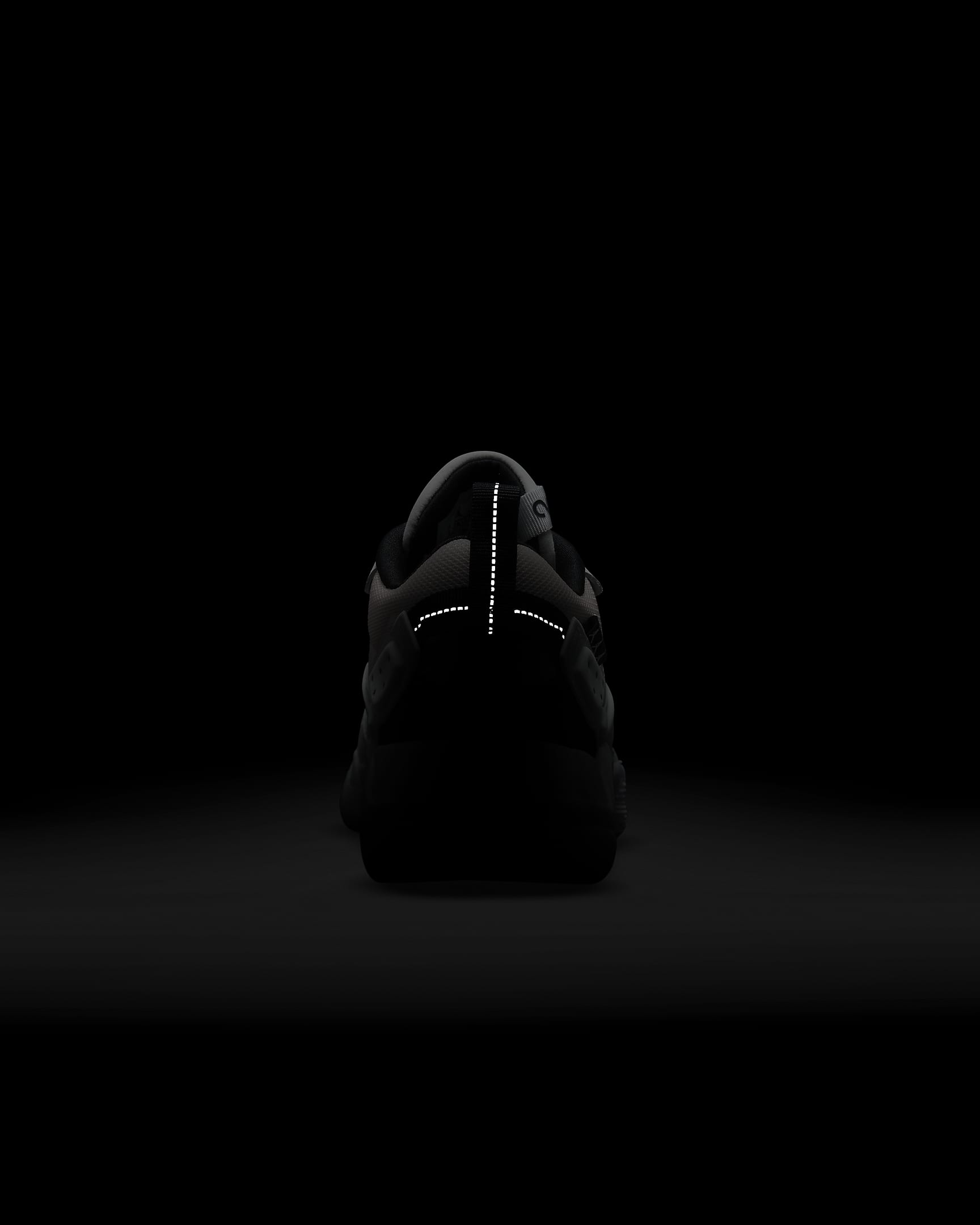 Jordan Air NFH Women's Shoes.