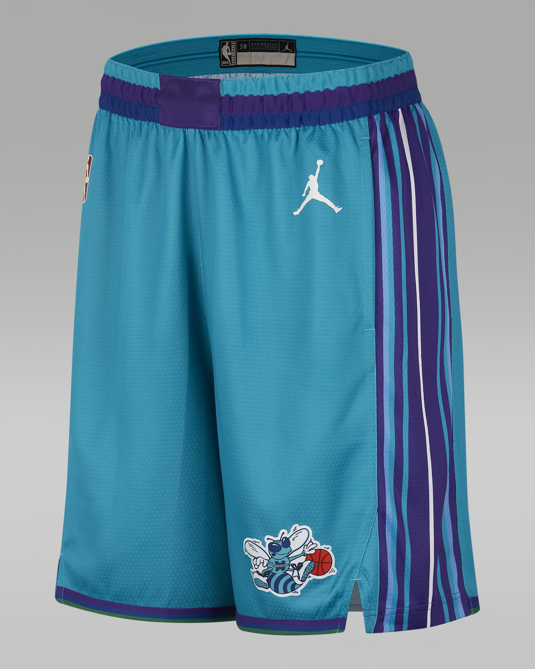 Charlotte Hornets Hardwood Classics 2023/24 Men's Nike Dri-FIT NBA ...